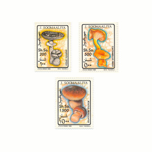 Soomaaliya – Funghi 1993
